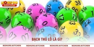 Bạch thủ lô là gì?