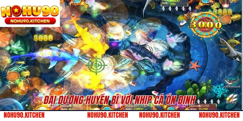 Đại dương huyền bí với nhịp cá ổn định 