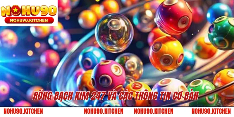 Rồng Bạch Kim 247 và các thông tin cơ bản