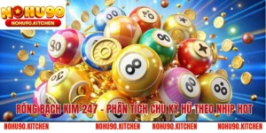 Rồng Bạch Kim 247 – Phân Tích Chu Kỳ Hũ Theo Nhịp Hot